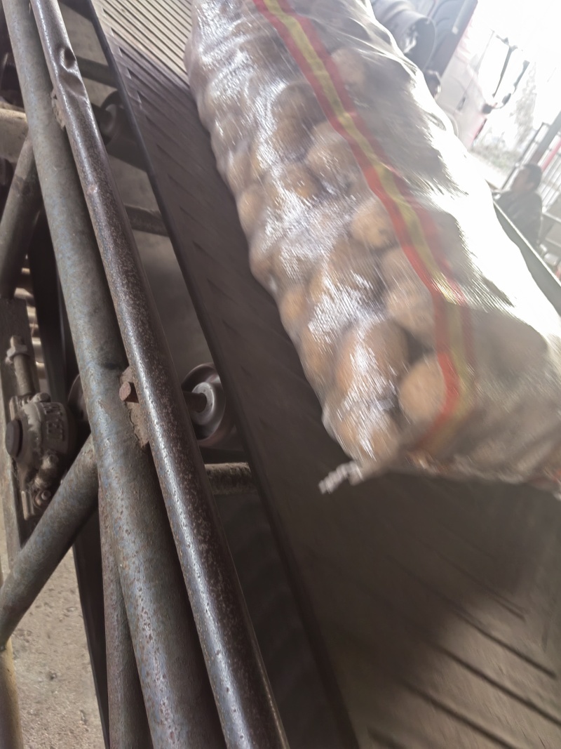 精品高次，微瑕疵，适合，学校，大集，另售，高品食堂。