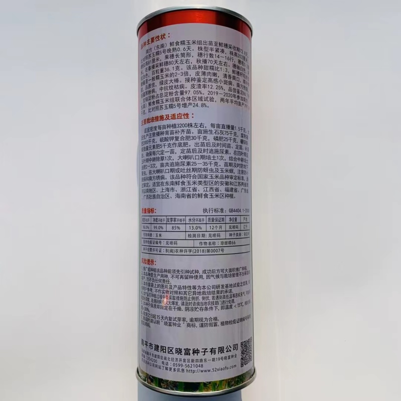 珍甜糯66白甜糯玉米种籽甜加糯玉米高产量大棒型大香甜糯玉