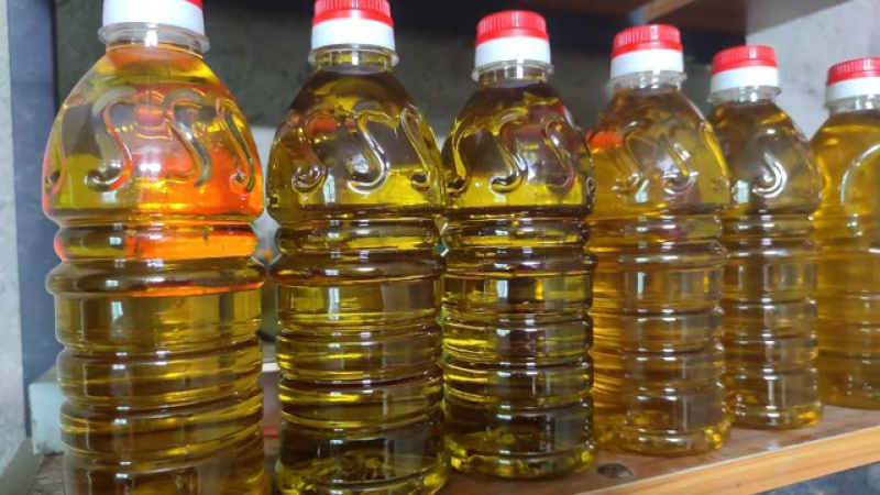 （包邮）山茶油自己生产加工有原材料工艺合规欢迎咨询