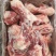 带肉前后腿骨
