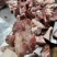 带肉前后腿骨