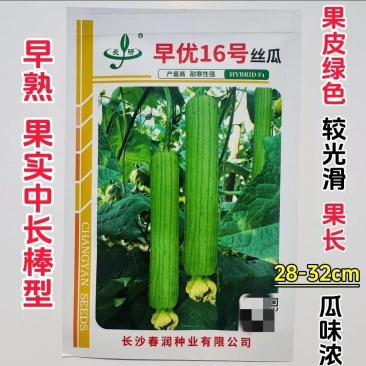 春润早优16号丝瓜种子瓜味浓味甜清脆中长棒形丝瓜种籽产量