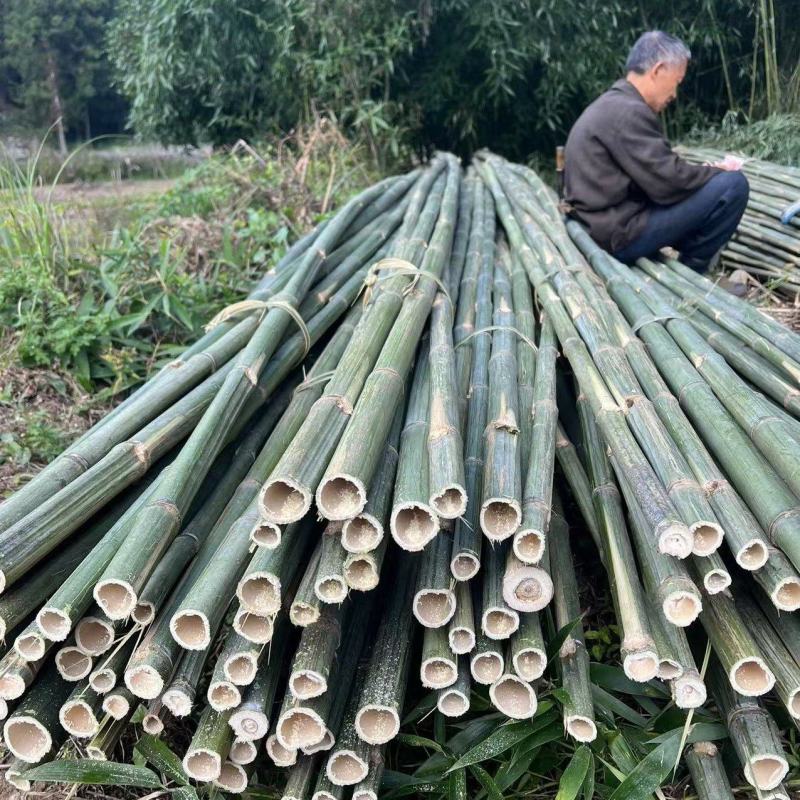羊肚菌大棚竹竿西瓜大棚竹竿平朋竹竿各各规格都可以定