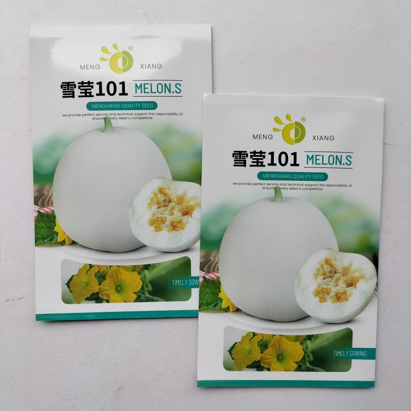 百丽大果早熟薄皮甜瓜种子500粒黄白皮白肉圆柱形
