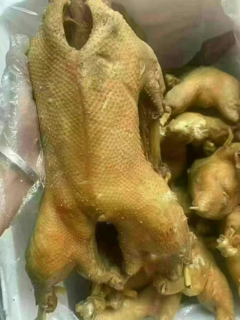 批发荣昌卤鹅熟食卤菜特产烧鹅地摊展销会