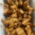 批发荣昌卤鹅熟食卤菜特产烧鹅地摊展销会