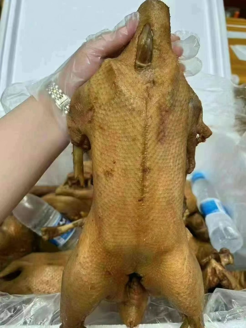 批发荣昌卤鹅熟食卤菜特产烧鹅地摊展销会