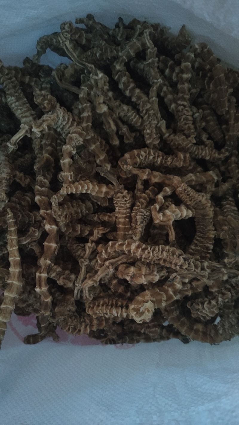 虫草参干货，农家直供，各种吃法健康美味，快来选购！