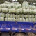 山东滕州黄心白菜大白菜大量供应产地直发货源充足