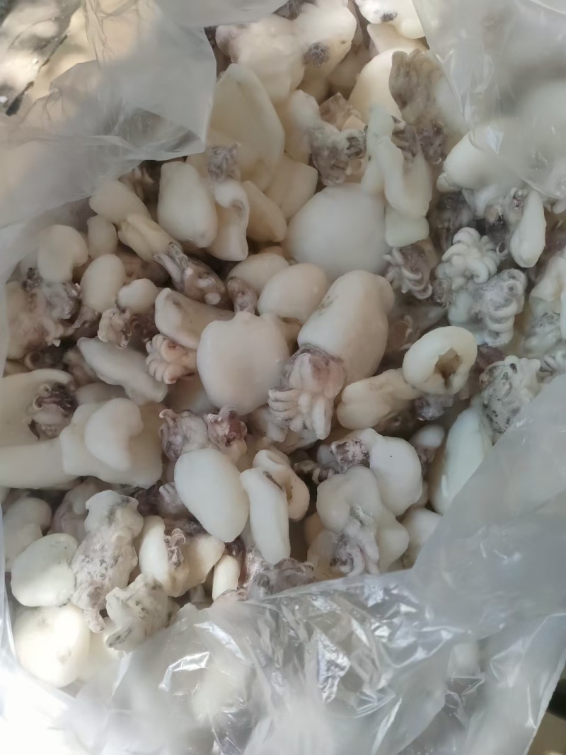 单冻墨鱼仔次品墨丁价格实惠