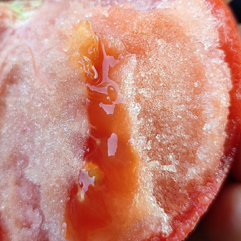 精品沙瓤番茄