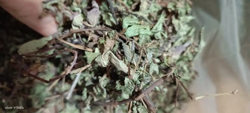 头花蓼，四季红。各种冷背药材需要的老板联系我