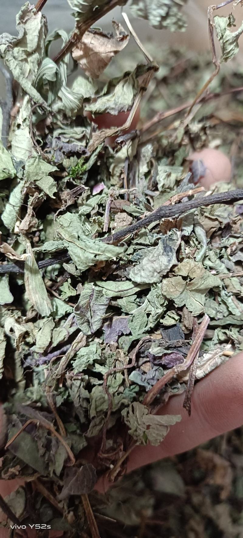 头花蓼，四季红。各种冷背药材需要的老板联系我