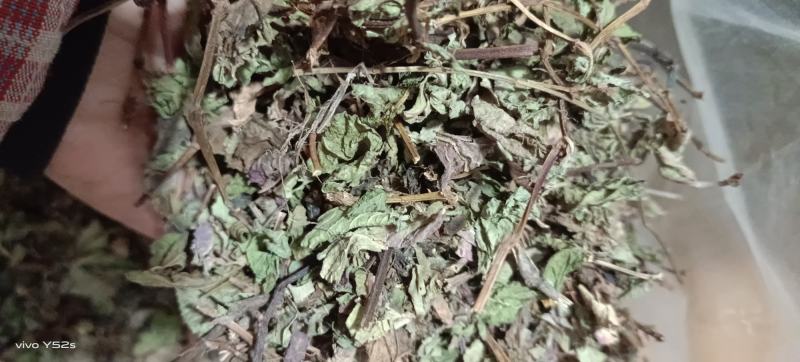 头花蓼，四季红。各种冷背药材需要的老板联系我