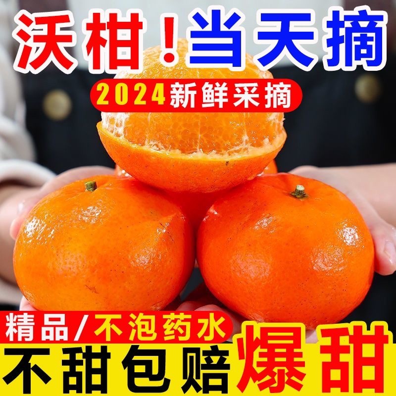 广西薄皮沃柑口感水润清甜品质保证接商超市场电商！大量供应