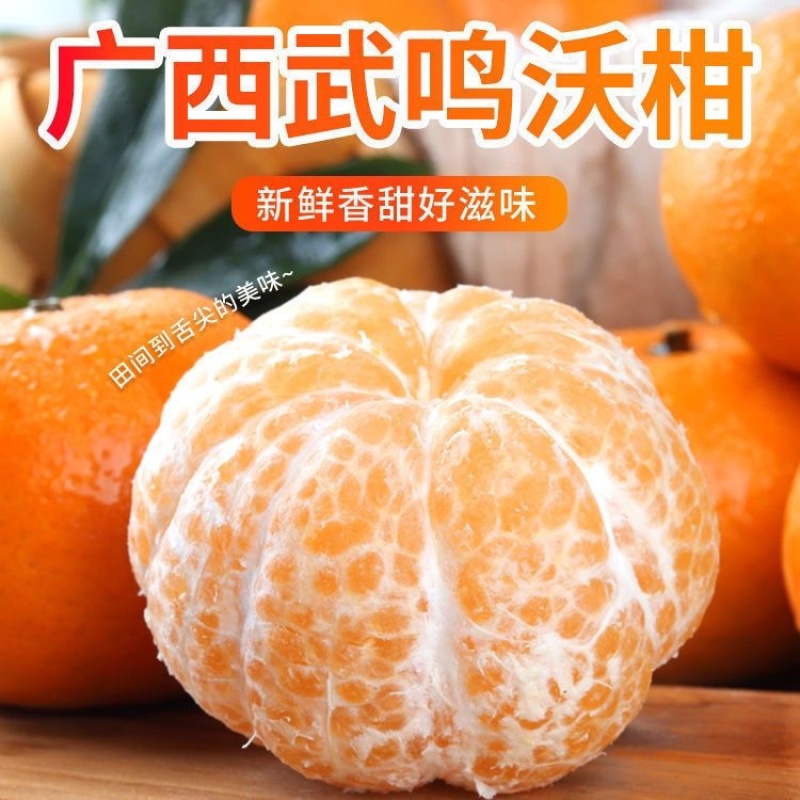 广西薄皮沃柑口感水润清甜品质保证接商超市场电商！大量供应