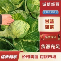 [精品甘蓝]河北货源，产地直发，硬菜，手感菜，宣菜！