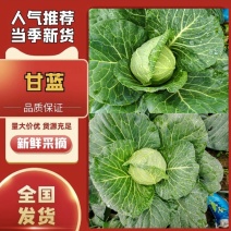 [河北内蒙辽宁甘蓝精品]一手货源，产地货，手感菜，宣菜！