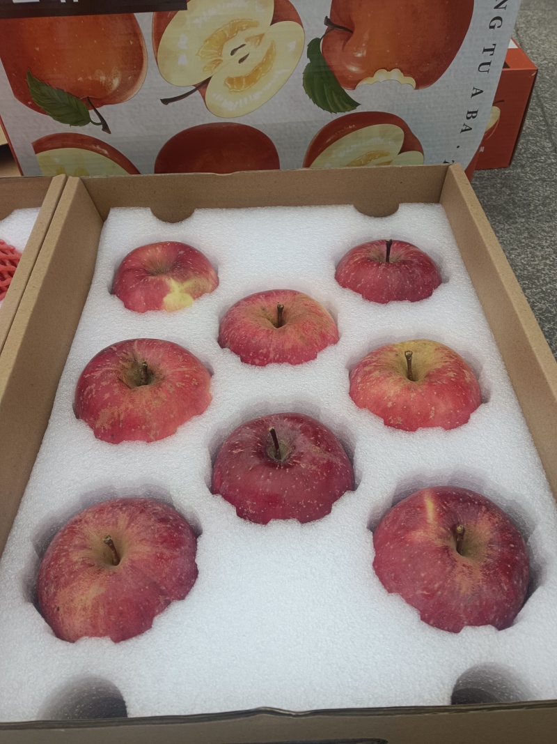 来自雪域高原高颜值糖心苹果普通彩箱装