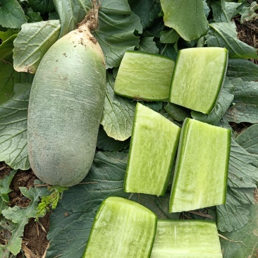 水果萝卜/精品挑选4-8两市场、电商果、食堂果