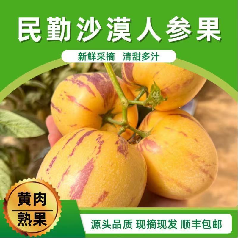 甘肃正宗民勤人参果通货电商一件代发低价批发