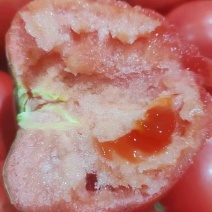 西红柿，硬粉西红柿，产地直供，品质保障，量大从优，欢迎咨询
