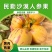 甘肃民勤沙漠人参果正宗产地直发通货电商