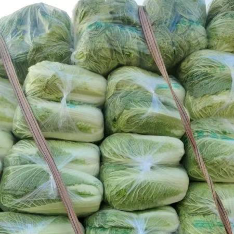 河南开封大白菜新鲜上市，视频看货全国发货，对接商超市场