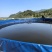 黑鱼优质淡水黑鱼浙江黑鱼淡水养殖黑鱼可视频欢迎下