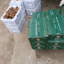 陕西眉县优质徐香猕猴桃（原产地