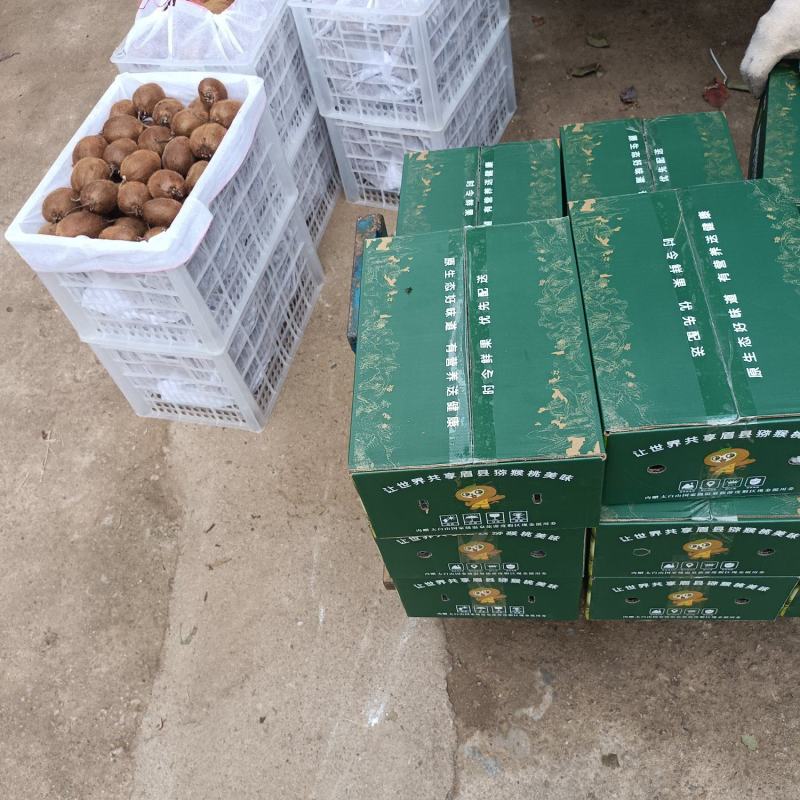 陕西眉县优质徐香猕猴桃（原产地