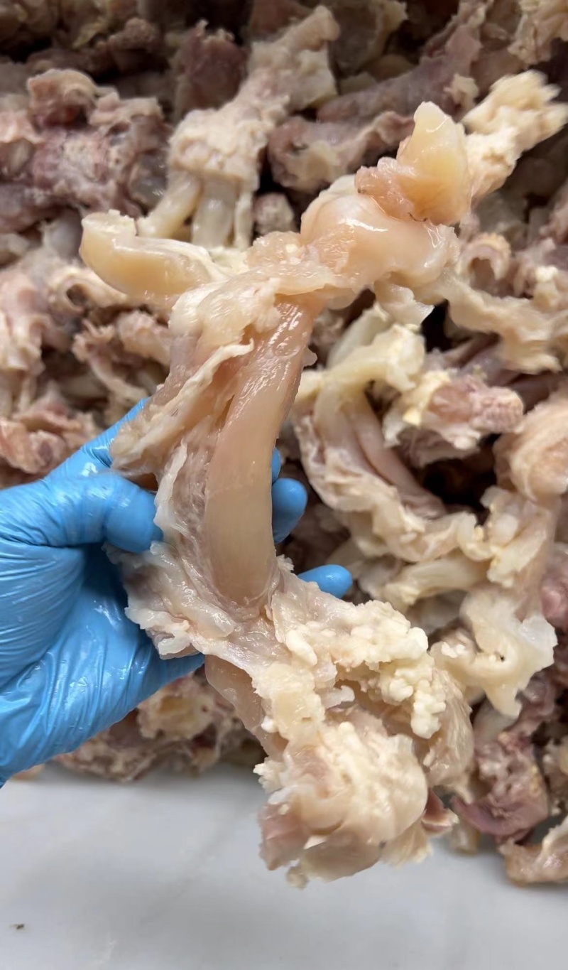 《熟牛蹄筋》纯干牛蹄大主筋不泡水无水发量大从优