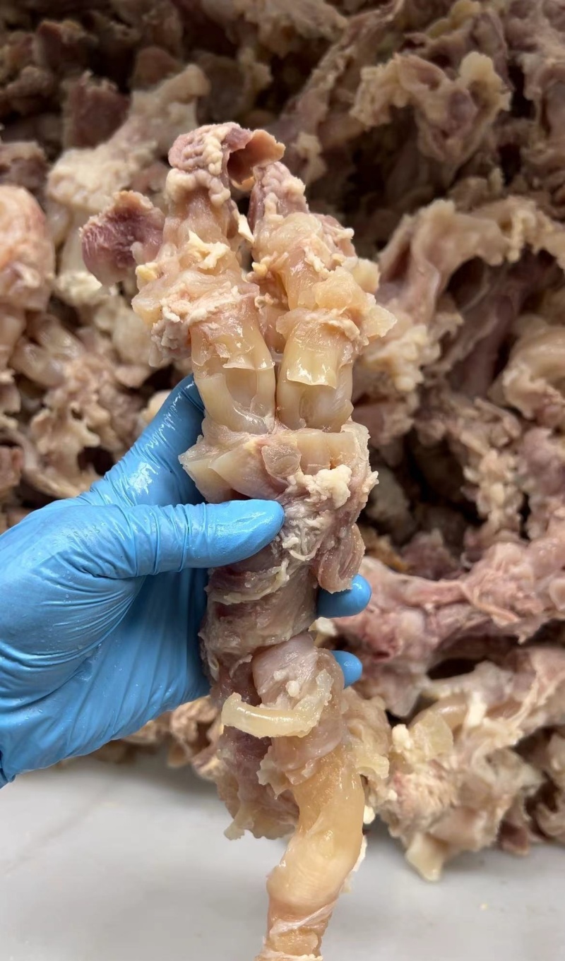 《熟牛蹄筋》纯干牛蹄大主筋不泡水无水发量大从优