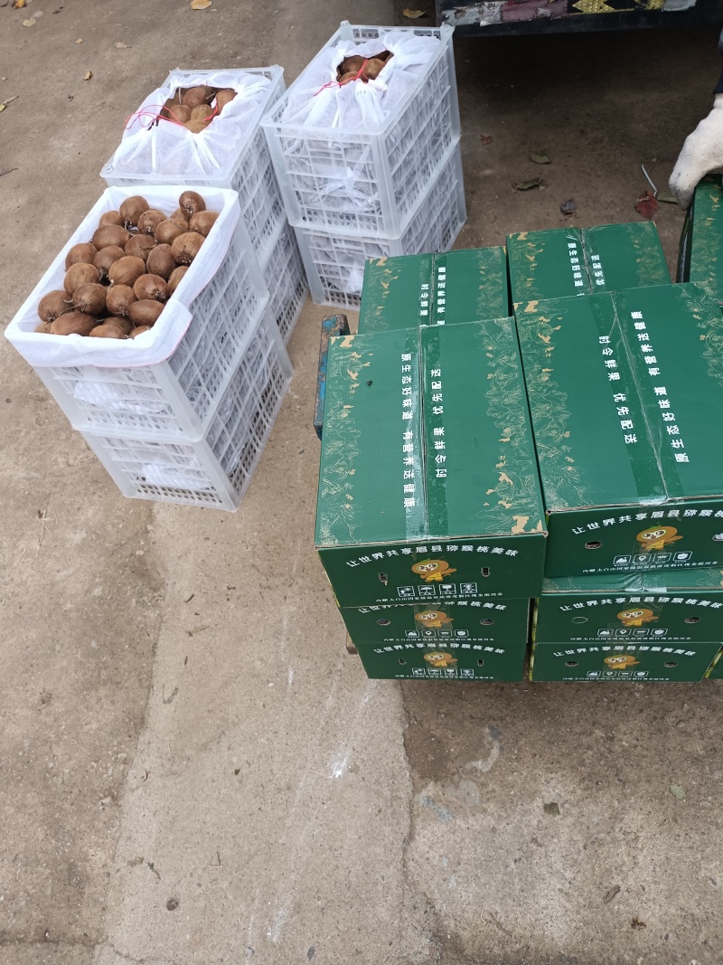 陕西眉县优质徐香猕猴桃（原产地