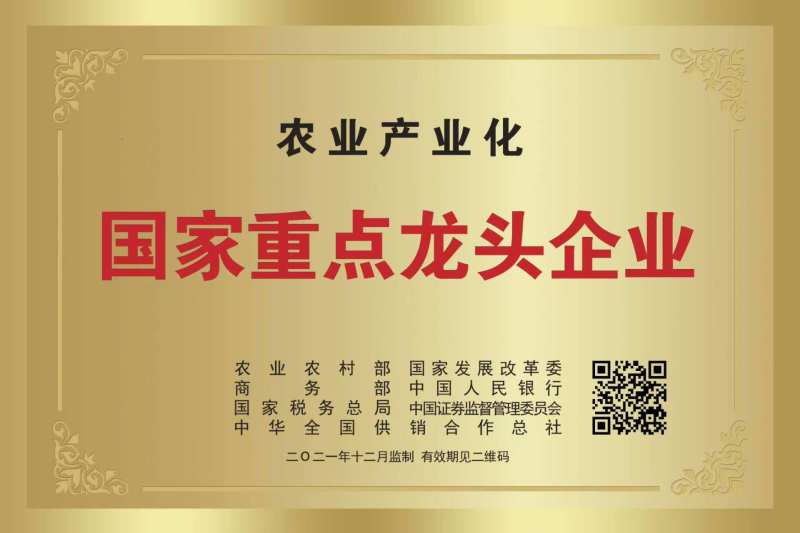 【冻生虾仁】500g环球生虾仁活虾加工肉质弹嫩规格齐全