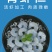 【冻生虾仁】500g环球生虾仁活虾加工肉质弹嫩规格齐全
