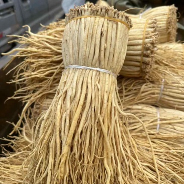 定西白条党参大量上市，可视频看货，量大从优