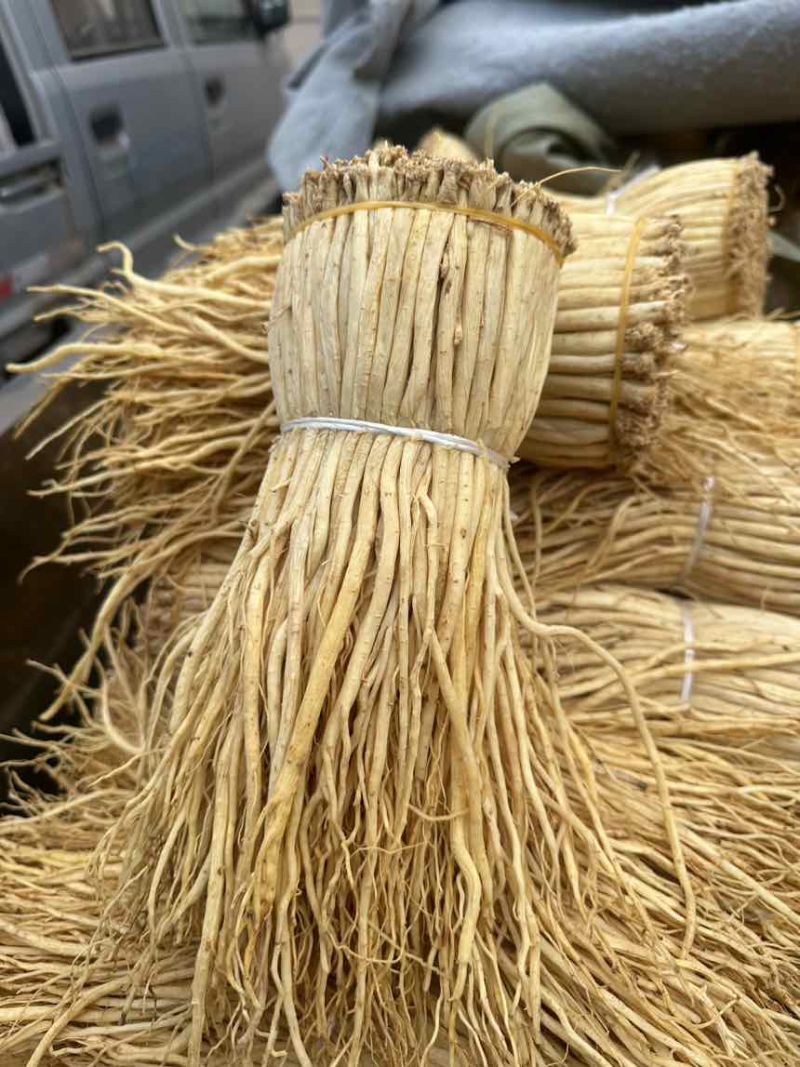定西白条党参大量上市，可视频看货，量大从优