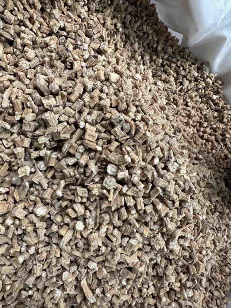 定西白条党参大量上市，可视频看货，量大从优
