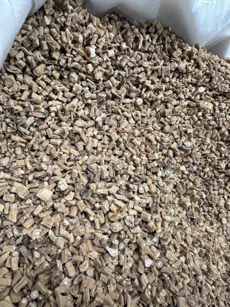 定西白条党参大量上市，可视频看货，量大从优