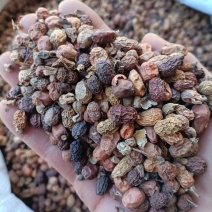红蔻/红豆蔻/精选好货/批发兼零售，量大可商议，全国包邮