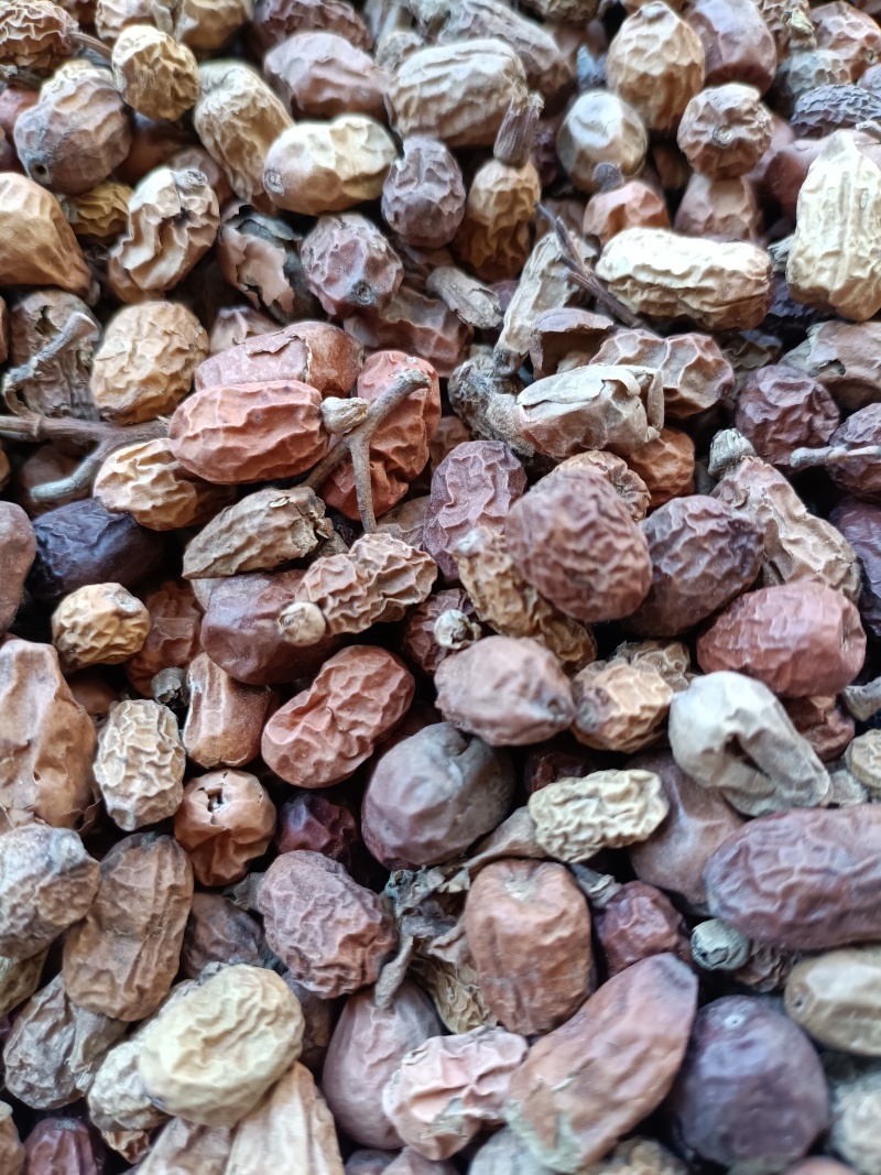 红蔻/红豆蔻/精选好货/批发兼零售，量大可商议，全国包邮