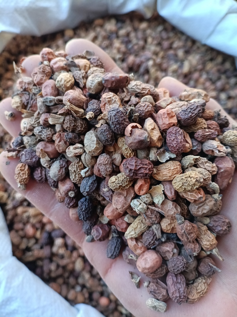 红蔻/红豆蔻/精选好货/批发兼零售，量大可商议，全国包邮