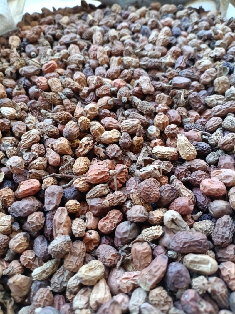 红蔻/红豆蔻/精选好货/批发兼零售，量大可商议，全国包邮