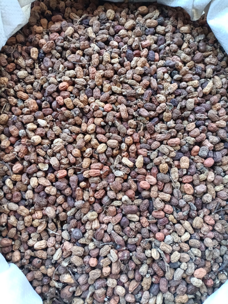 红蔻/红豆蔻/精选好货/批发兼零售，量大可商议，全国包邮