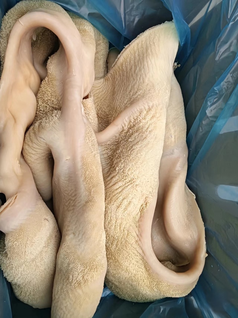 【熟牛肚】五香牛肚口感Q弹量大从优直接保证