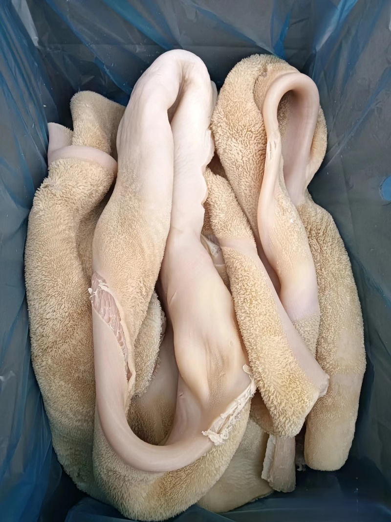 【熟牛肚】五香牛肚口感Q弹量大从优直接保证