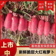 湖北大红袍萝卜红皮萝卜口感好营养丰富价格实惠欢迎选购