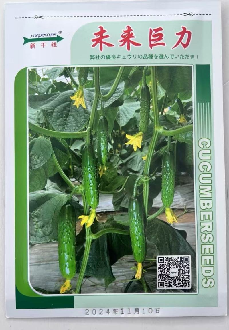 水果黄瓜种子未来巨力全雌耐低温翠绿色长度16厘米脆甜
