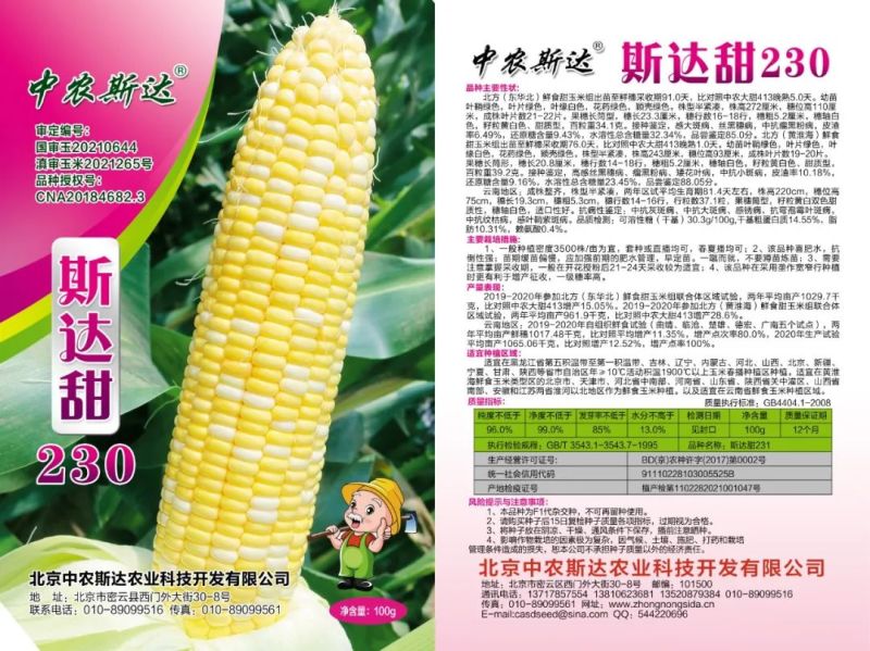 斯达甜230双色水果玉米种子超甜鲜食水果玉米种籽南北方春